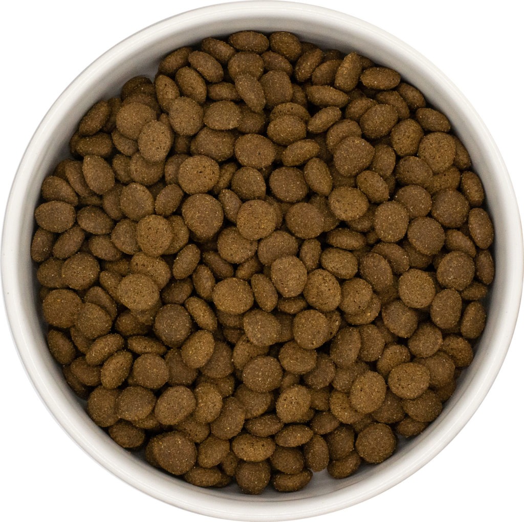 Natural Dog Food 